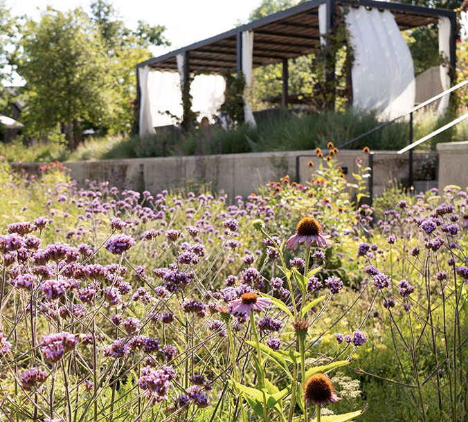 Flowers Winery