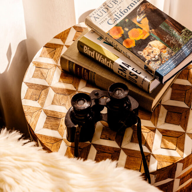 Olema House Winter Offer