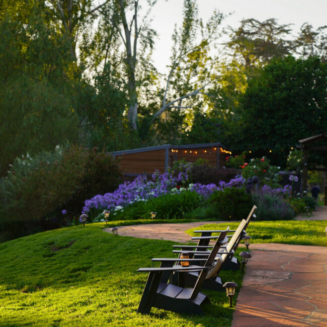 Olema House Lawn